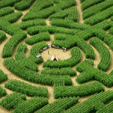THE LABYRINTH