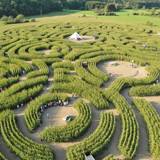 Durbuy Labyrinth - An extraordinary attraction in Belgium