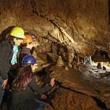 The Mystery Discoveries of Comblain