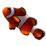 PUBLIC AQUARIUM OF BRUSSELS - AQUARIST CENTRE