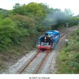 FASTER THAN A FLASH OF LIGHT: WHEN VICTOR HUGO AND THE 19TH CENTURY DISCOVERED SPEED