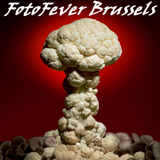 Fotofever Brussels