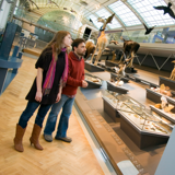 Couple's Visit to the Royal Institute of Natural Sciences