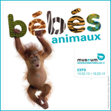 Baby Animals Exhibition