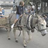 Belgian Luxembourg, a family-friendly destination