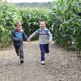 Belgian Luxembourg, a family-friendly destination