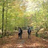 The province of Luxembourg, ideal for a romantic escapade