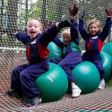 Aventure Parc, a family park in the woods!