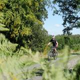 King Albert's forest mountain bike trail | Cycling routes in Wallonia