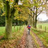 A mountain bike route in Vielsalm | cycling routes in Wallonia