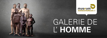 Royal Belgian Institute of Natural Sciences in Brussels