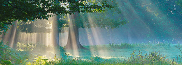 Get away together for a stay in nature, in Vielsalm and Gouvy