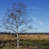 Natural Centre of Botrange