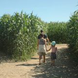 The Barvaux Labyrinth, a magical adventure