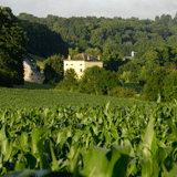 Thon, un des Plus Beaux Villages de Wallonie