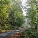 MAISON DU TOURISME DU PAYS DE LA FORET D'ANLIER