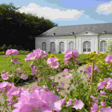 Chamber Music Concerts at the Seneffe Castle Organgerie