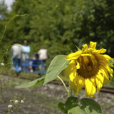 The Molignée Rail Bikes