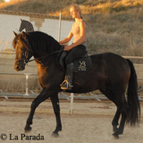 CENTRE ÉQUESTRE LA PARADA