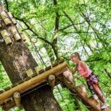 Natura Parc - Accrobranche park in Belgium at the Lacs de l'Eau d'Heure