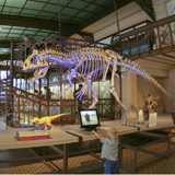 The paleoLAB at the Museum of natural Sciences