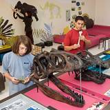 The paleoLAB at the Museum of natural Sciences