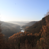 RND - Escape to the Ardennes Forest