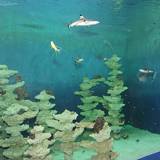 A day out with the children at the Liège Aquarium-Museum