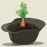 <strong>02/10/2015>31/08/2016 ></strong> "Food & War. A culinary history of the Great War" in Evere