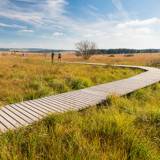 Summer Deals - 1 night from €119 | The Belgian Ardennes